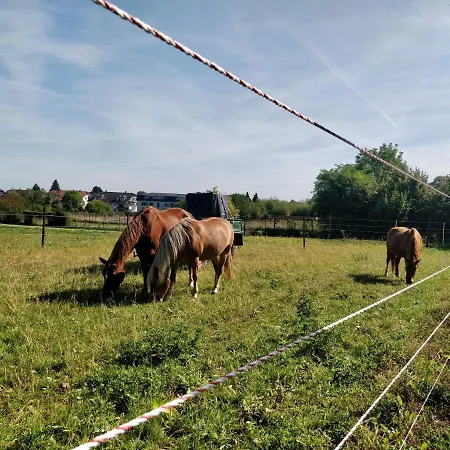 펜션 Haus Im Gruenen