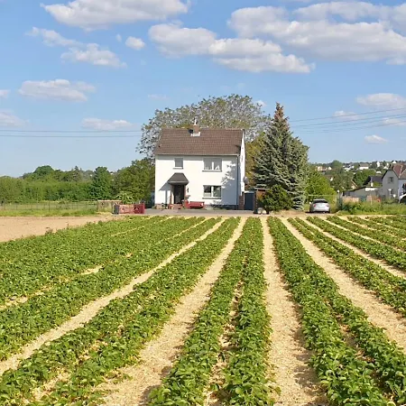Haus Im Gruenen 펜션 보른하임