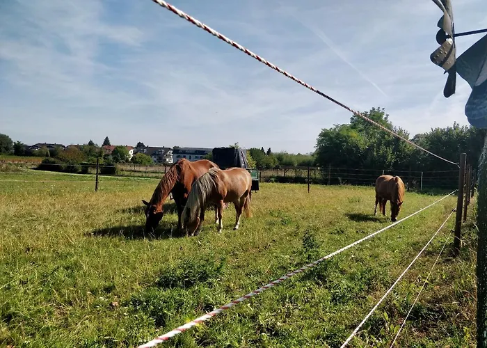 Prázdninový dům Haus Im Gruenen