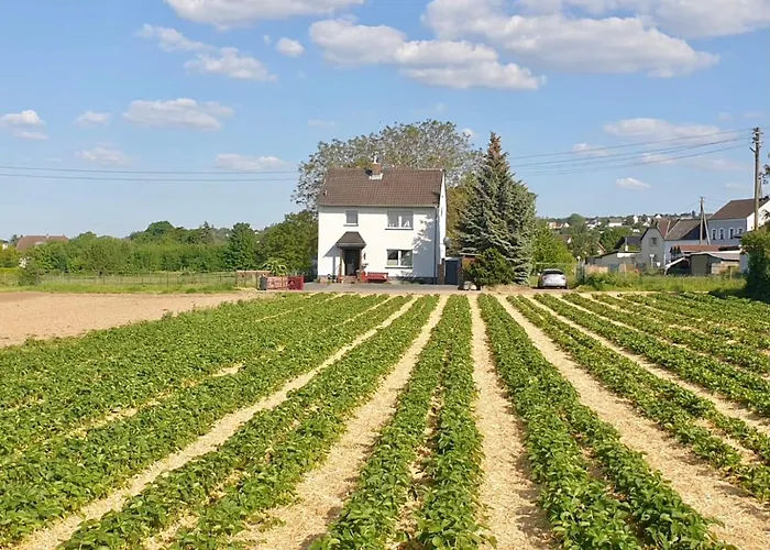 Haus Im Gruenen Prázdninový dům Bornheim (Rheinland)