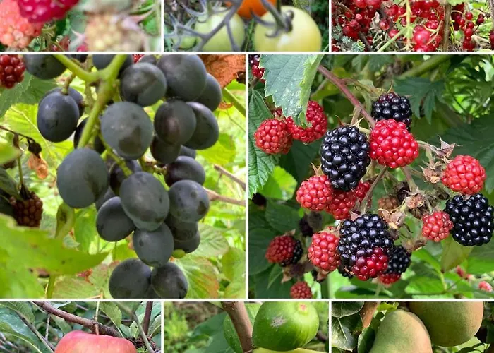 Haus Im Gruenen Vakantiehuis Bornheim (Rheinland)